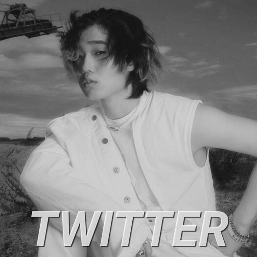 Twitter Twitter